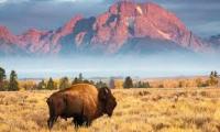 Vé máy bay đi Wyoming giá rẻ, ưu đãi khủng
